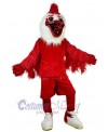 Bird mascot costume