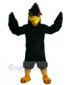 Eagle Hawk mascot costume