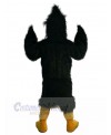 Eagle Hawk mascot costume
