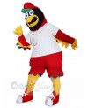 Eagle Hawk mascot costume
