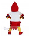 Eagle Hawk mascot costume