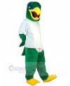 Eagle Hawk mascot costume