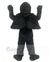 Eagle Hawk mascot costume