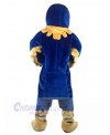 Eagle Hawk mascot costume