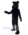 Dog mascot costume