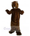 Groundhog mascot costume