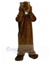 Groundhog mascot costume