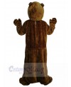 Groundhog mascot costume