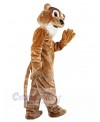 Lion mascot costume