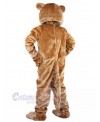 Lion mascot costume