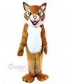 Tiger mascot costume