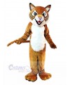 Tiger mascot costume