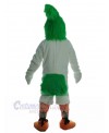 Bird mascot costume