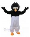 Crow Bird mascot costume