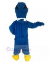 Bird mascot costume