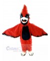 Bird mascot costume