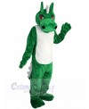 Dragon mascot costume