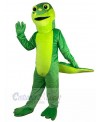 Crocodile mascot costume