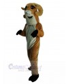 Sheep mascot costume