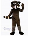 Raccoon mascot costume