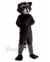 Raccoon mascot costume