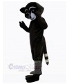 Raccoon mascot costume