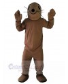 Seal mascot costume