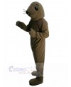 Seal mascot costume