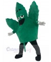 Leaf mascot costume