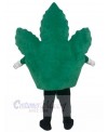 Leaf mascot costume