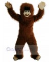 Man mascot costume