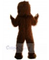 Man mascot costume