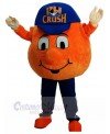 Ball mascot costume