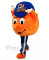Ball mascot costume