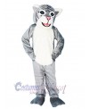 Leopard mascot costume