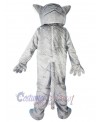 Leopard mascot costume