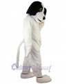 Dog mascot costume