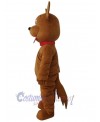 Dog mascot costume