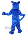 Wolf mascot costume