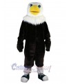 Eagle mascot costume