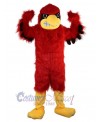 Eagle mascot costume