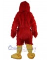 Eagle mascot costume