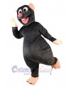 Rat Mouse mascot costume