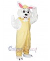 Bunny mascot costume