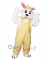 Bunny mascot costume