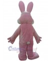 Bunny mascot costume