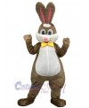 Rabbit mascot costume