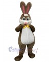 Rabbit mascot costume