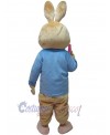 Rabbit mascot costume