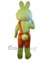 Rabbit mascot costume